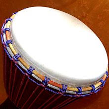 Djembe Trommeln