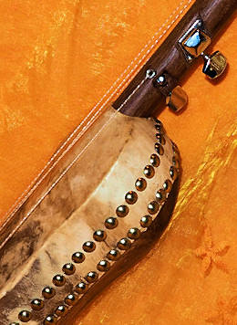 Djeli N'Goni von Djembé Art