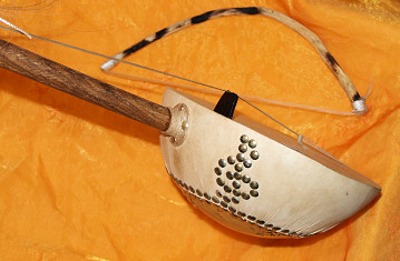 Riti African Fiddle