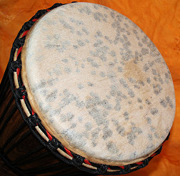 Bougarabou Trommel aus Mali Trommelfell