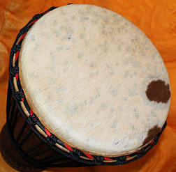 Bougarabou Trommel aus Mali Trommelfell