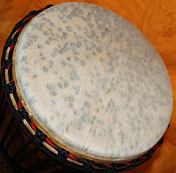 Bougarabou Trommel aus Mali Trommelfell