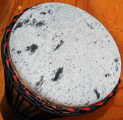 Bougarabou Trommel aus Mali Trommelfell