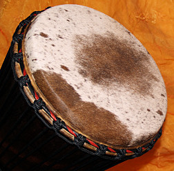 Bougarabou Trommel aus Mali Trommelfell