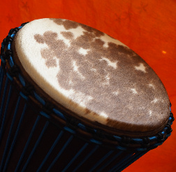 Bougarabou Trommel aus Mali Trommelfell