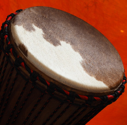 Bougarabou Trommel aus Mali Trommelfell