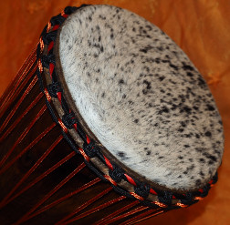 Bougarabou Trommel aus Mali Trommelfell