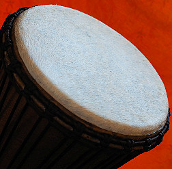 Bougarabou Trommel aus Mali Trommelfell