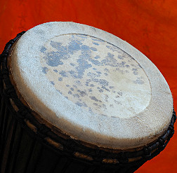 Bougarabou Trommel aus Mali Trommelfell