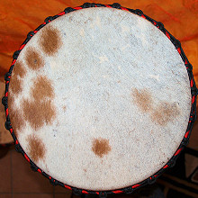Bougarabou Trommel aus Mali Trommelfell