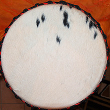 Bougarabou Trommel aus Mali Trommelfell