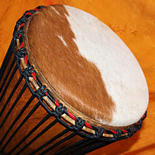 Bougarabou Trommel aus Mali Trommelfell