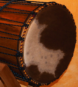 Djembé Art Trommeln, Dunun Basstrommeln