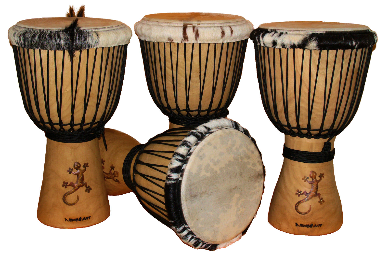 Djembe Trommel Kopen at Jeffrey Cohen blog