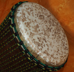 Djembe Trommel Fell