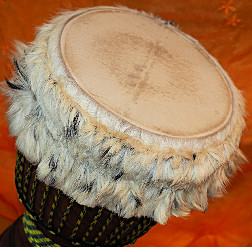 Djembe Trommel Fell