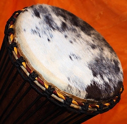 Djembe Trommel Fell