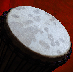 Djembe Trommel Fell