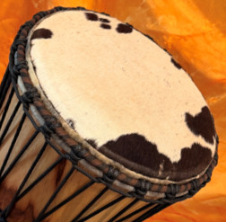 Djembe Trommel  Fell