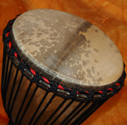 Djembe Trommel Fell