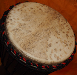 Djembe Trommel Fell