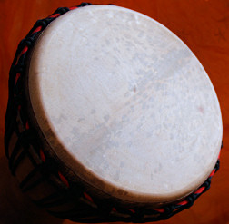 Djembe Trommel Fell