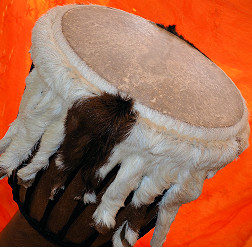 Djembe Trommel Fell