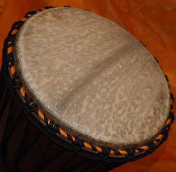 Djembe Trommel Fell