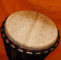 Djembe Trommel Fell