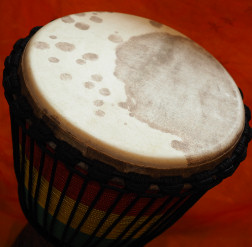 Djembe Trommel Fell