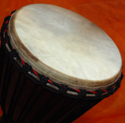 Djembe Trommel Fell