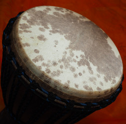 Djembe Trommel Fell