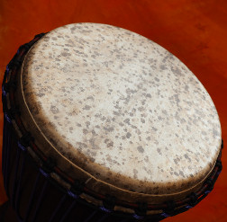Djembe Trommel Fell