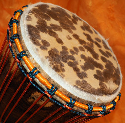 Djembe Trommel Fell