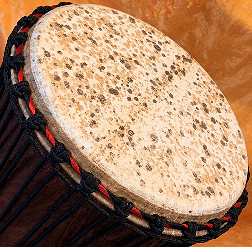 Djembe Trommel  Fell