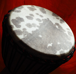 Djembe Trommel Fell