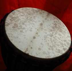 Djembe Trommel Fell