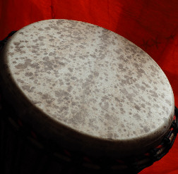 Djembe Trommel Fell