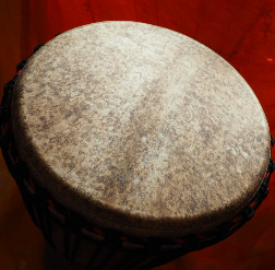 Djembe Trommel Fell