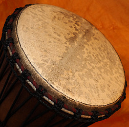 Djembe Trommel  Fell