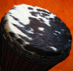 Djembe Trommel Fell