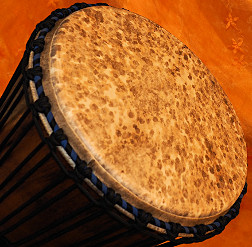 Djembe Trommel  Fell