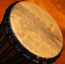 Djembe Trommel  Fell