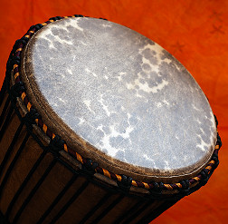Djembe Trommel Fell