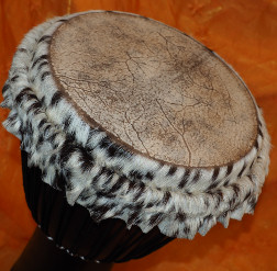 Djembe Trommel Fell