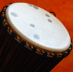 Djembe Trommel Fell
