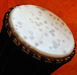 Djembe Trommel Fell