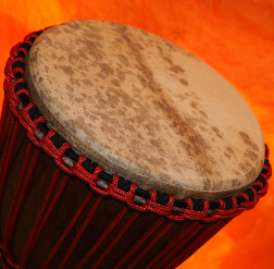 Djembe Trommel Fell