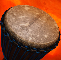 Djembe Trommel Fell