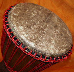 Djembe Trommel Fell